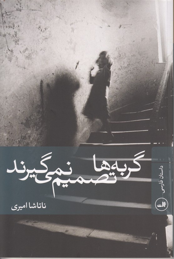 گربه ها تصمیم نمی گیرند