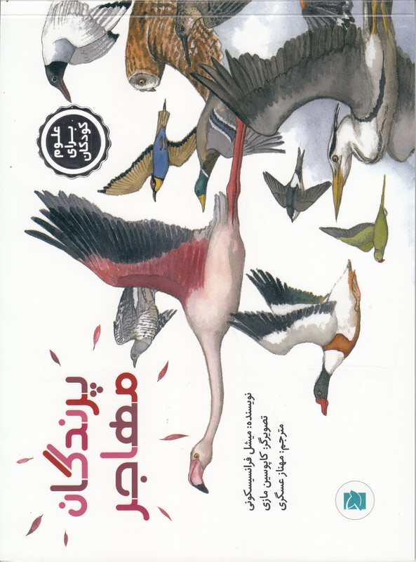 پرندگان مهاجر