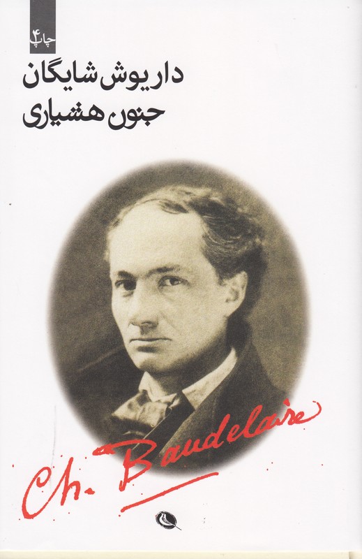جنون هشیاری