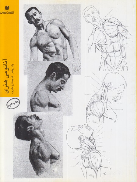 آناتومی هنری