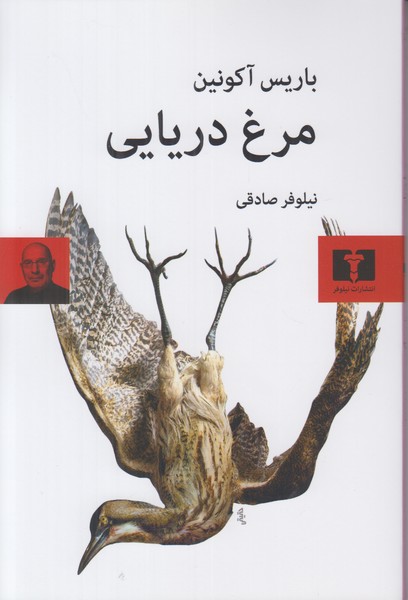 مرغ دریایی