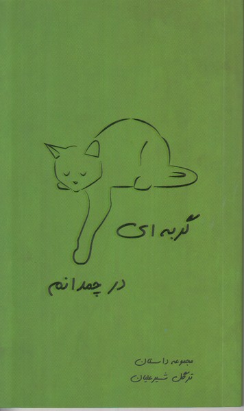 گربه ای در چمدانم