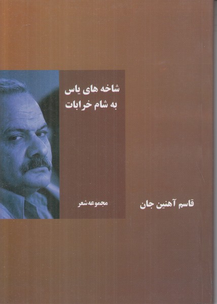 شاخه های یاس به شام خرابت