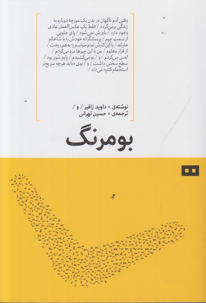 بومرنگ