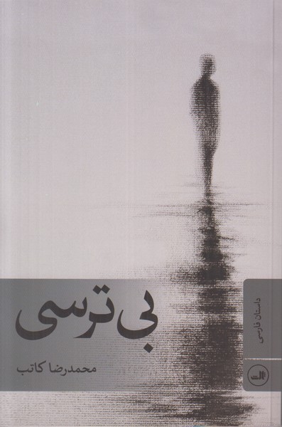 بی ترسی