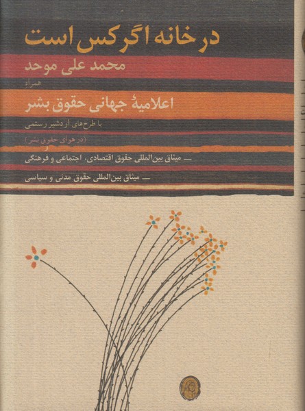 در خانه اگر کس است (اعلامیه جهانی حقوق بشر و میثاق های آن سیاسی)