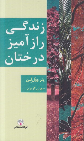 زندگی رازآمیز درختان