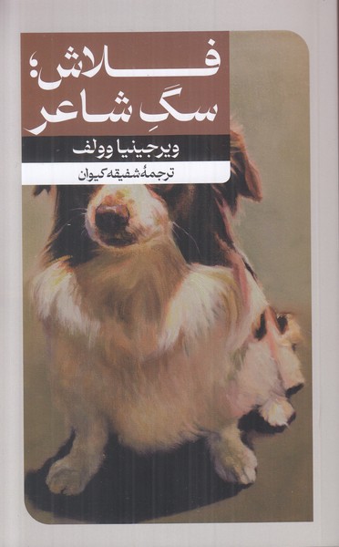فلاش سگ شاعر