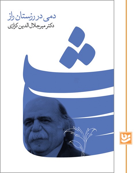 دمی در رزستان راز