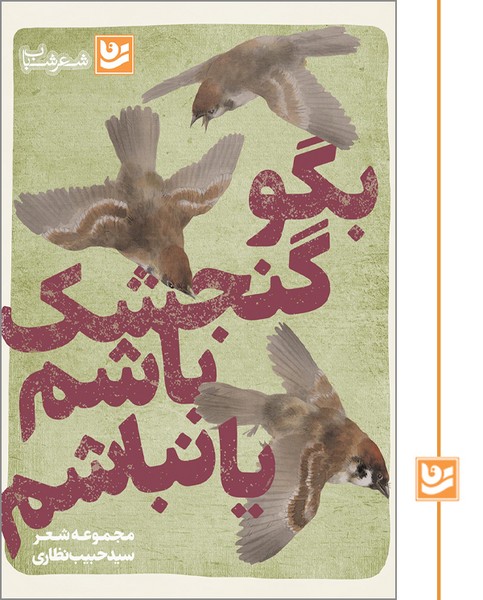 بگو گنجشک باشم یا نباشم/شعر شباب 29