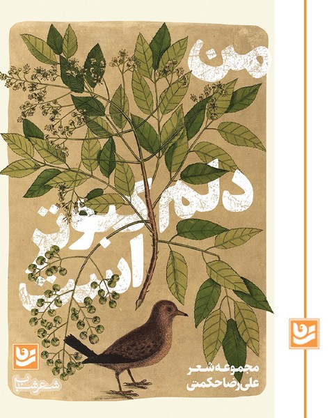 من دلم کبوتر است/شعر شباب 33