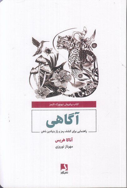 آگاهی (راهنمایی برای کشف رمز و راز بنیادین ذهن)