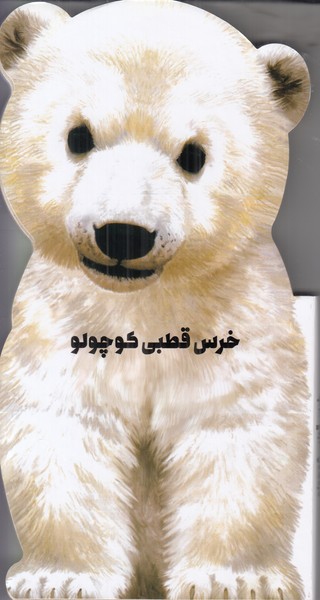 خرس قطبی کوچولو